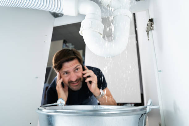 Sprinkler Systems in Montesano, WA